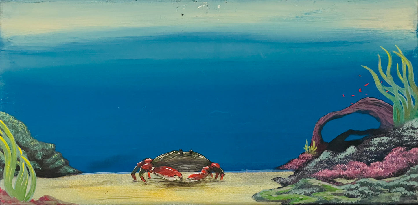 Crab 'n' Go
